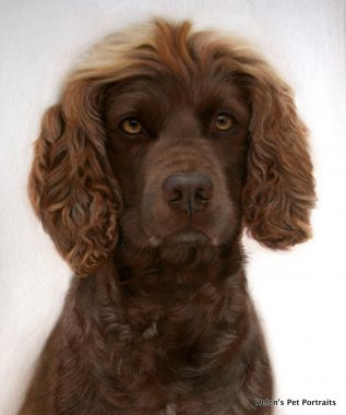 brown spaniel dog painting by local pet artist in Bideford