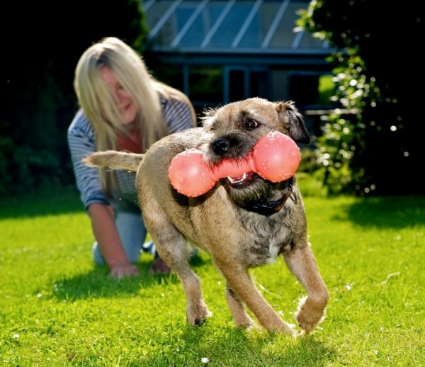 Helen Chugg Pet Portrait Artist Dog Paintings in the UK